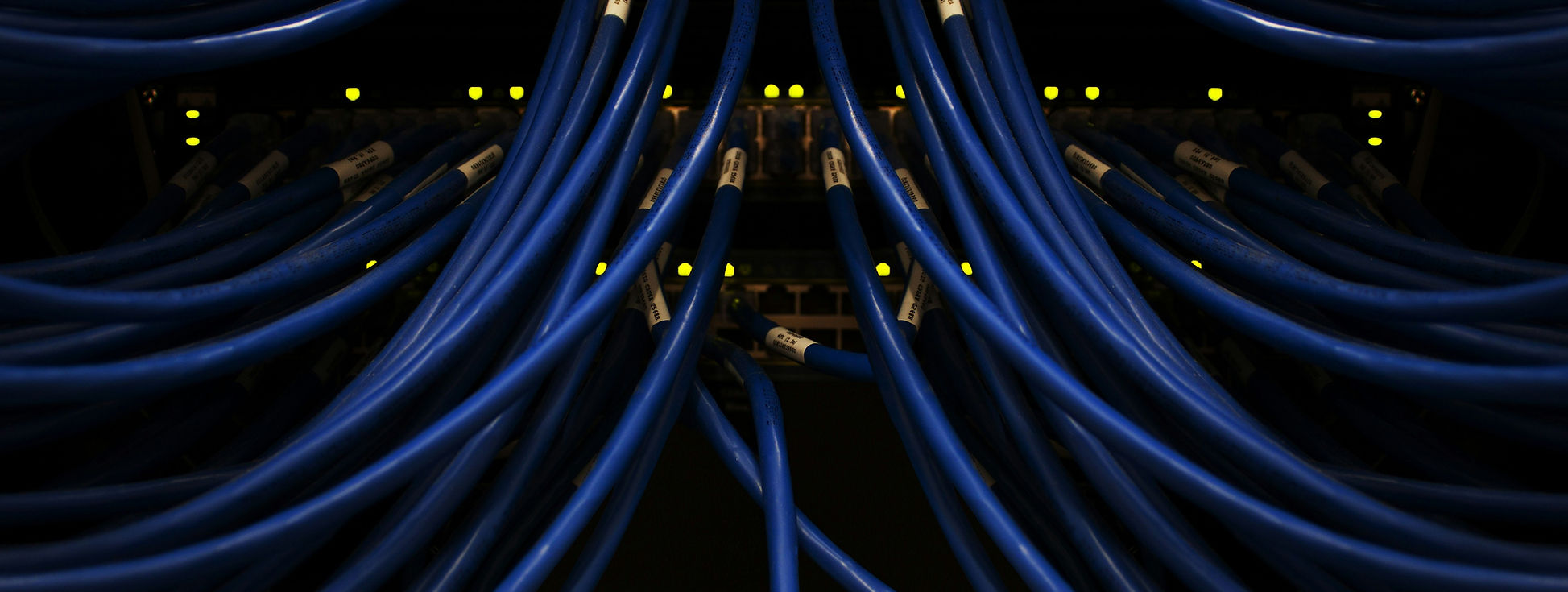 Image by Scott Rodgerson