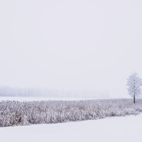 Žymios datos. Sausio mėn.