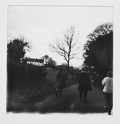 Image by Annie Spratt