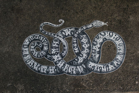 Reflections on the Year of the Snake