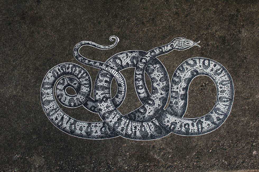 Artistic depiction of a snake curled around itself