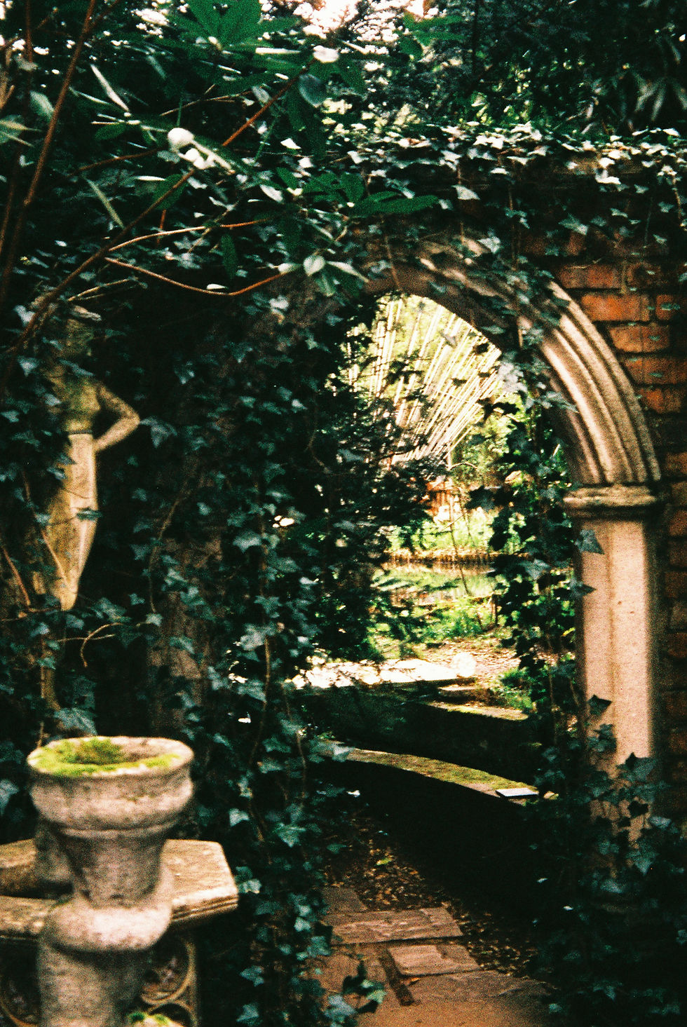 Image by T