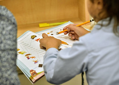 Image by shraga kopstein