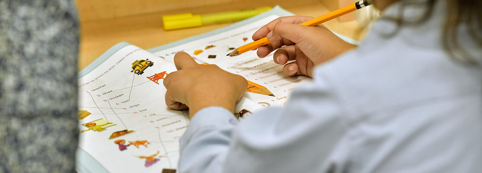 Image by shraga kopstein