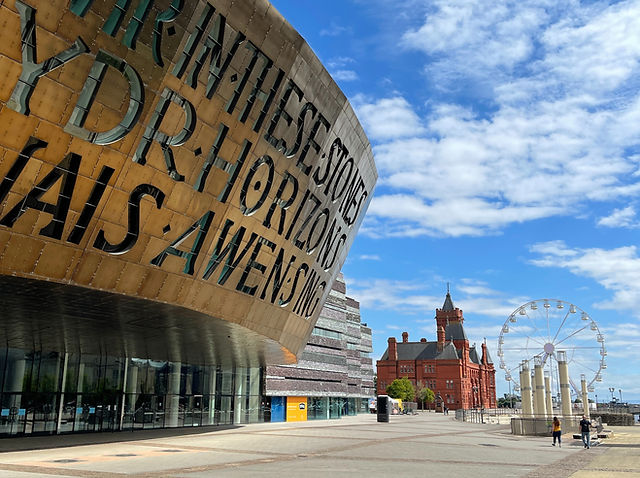 RightningBolt　Cardiff　8f 14615_02.jpg