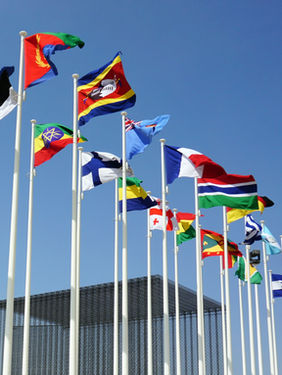 Startups, território e transição climática: o que a COP 30 nos exige agoraPor Claudia Andrade