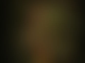 No Light