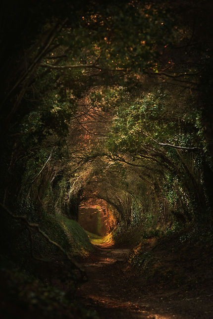 Image by Zoltan Tasi