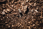 mulching services