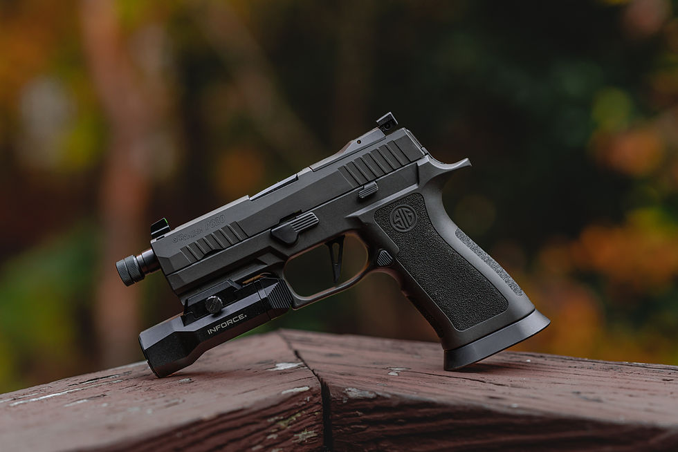 handgun from a gun store or gun range