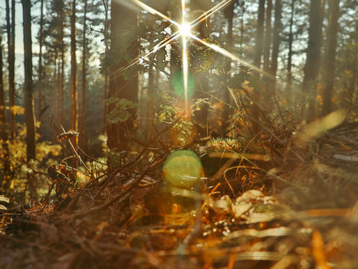 Indigenous Perspectives