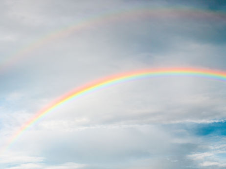 Rainbow Magic