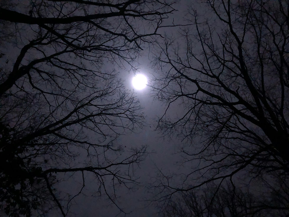 Image by Patricia Snyder