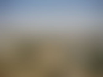 A Palestine Journey