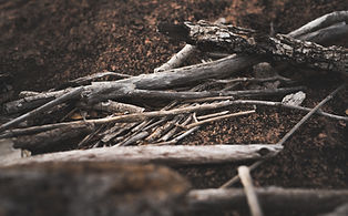 Yard debris removal
