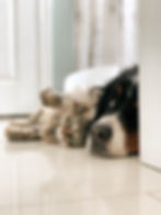 Image by Louis-Philippe Poitras