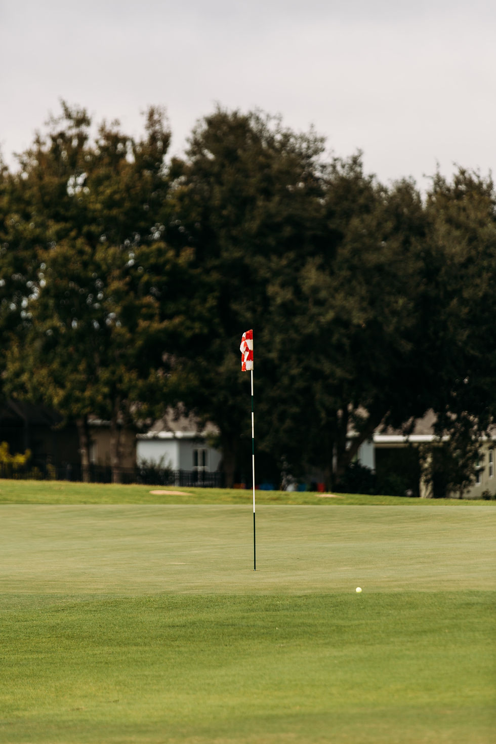 Golf course green in coastal North Carolina
