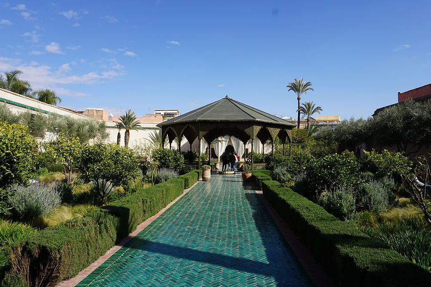 Image de Danai Tsoutreli