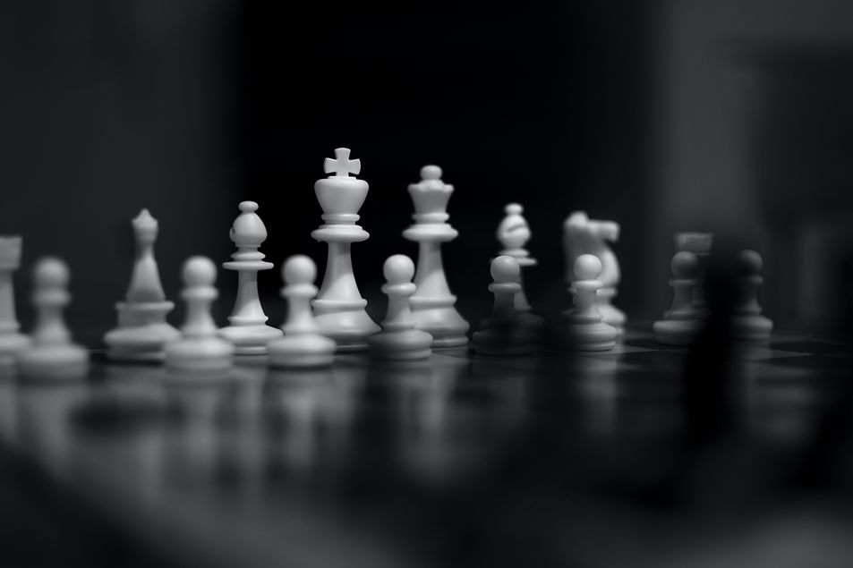 Image by Damiano Lingauri