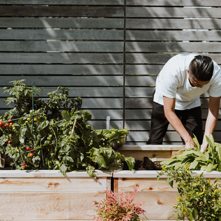 How to Start a Raised Bed Garden in Florida