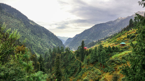 Image by Sreehari Devadas