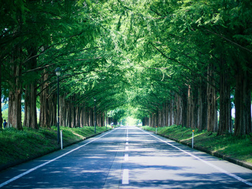 Understanding High-Functioning Anxiety: Finding Clarity and Healing