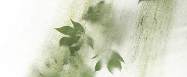 Image de Ricardo Gomez Angel