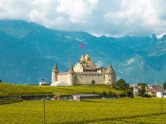 Photo by Oksana Bürki