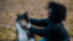 Pet-Inclusive Safety Planning for Survivors of Domestic Violence