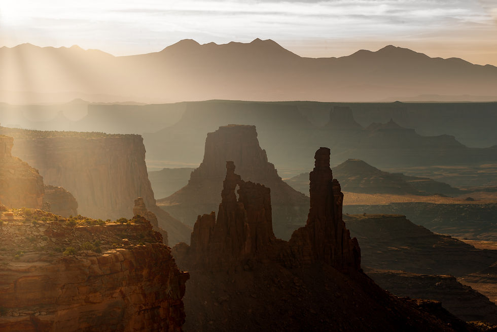 Image by Stephen Walker