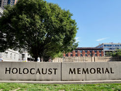 Unfinished Chapters: Sonia Michel and the Fight for Stolen Legacies