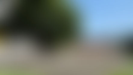 Unfinished Chapters: Sonia Michel and the Fight for Stolen Legacies