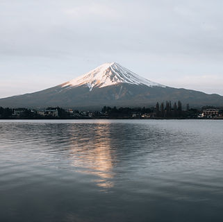Image by Luke Stackpoole