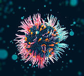 Image by Mohamed Nohassi