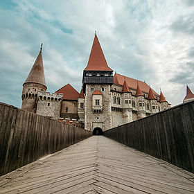 Image by Ioana Scholler