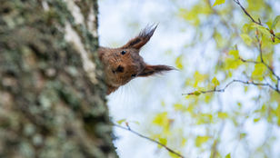 Be Curios (*about your customers)