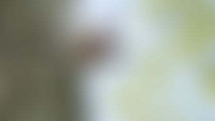 Be Curios (*about your customers)