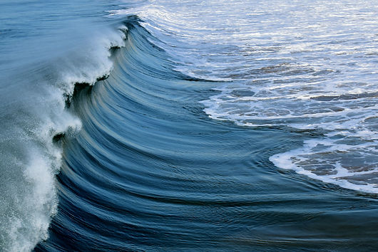 Image by Jeffrey Eisen