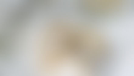 Adviento preparación eterna