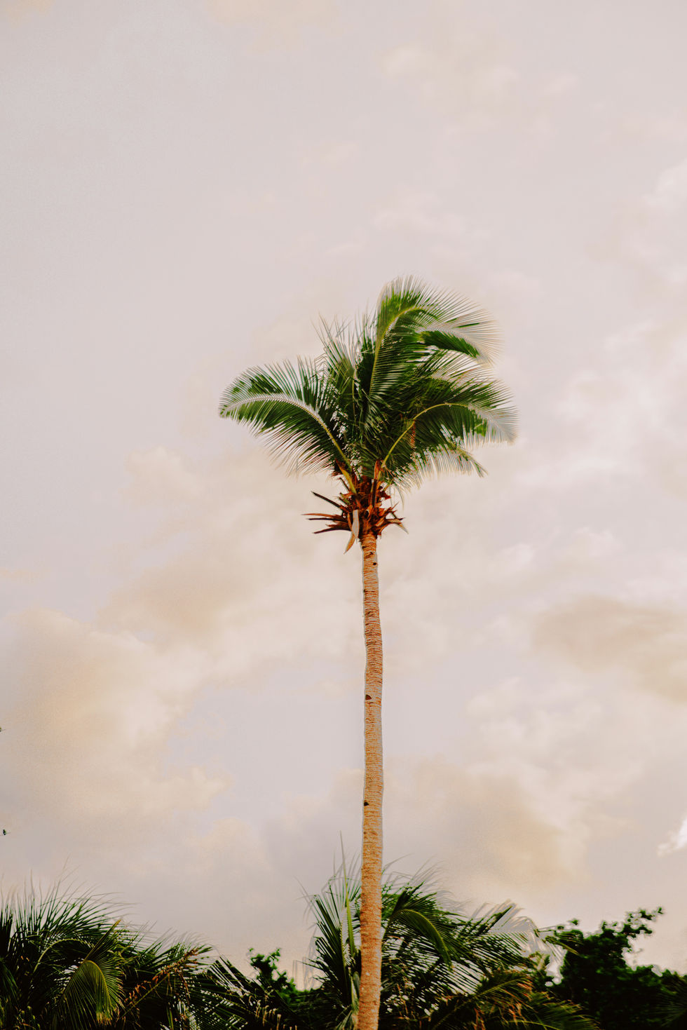 Image by Frames For Your Heart