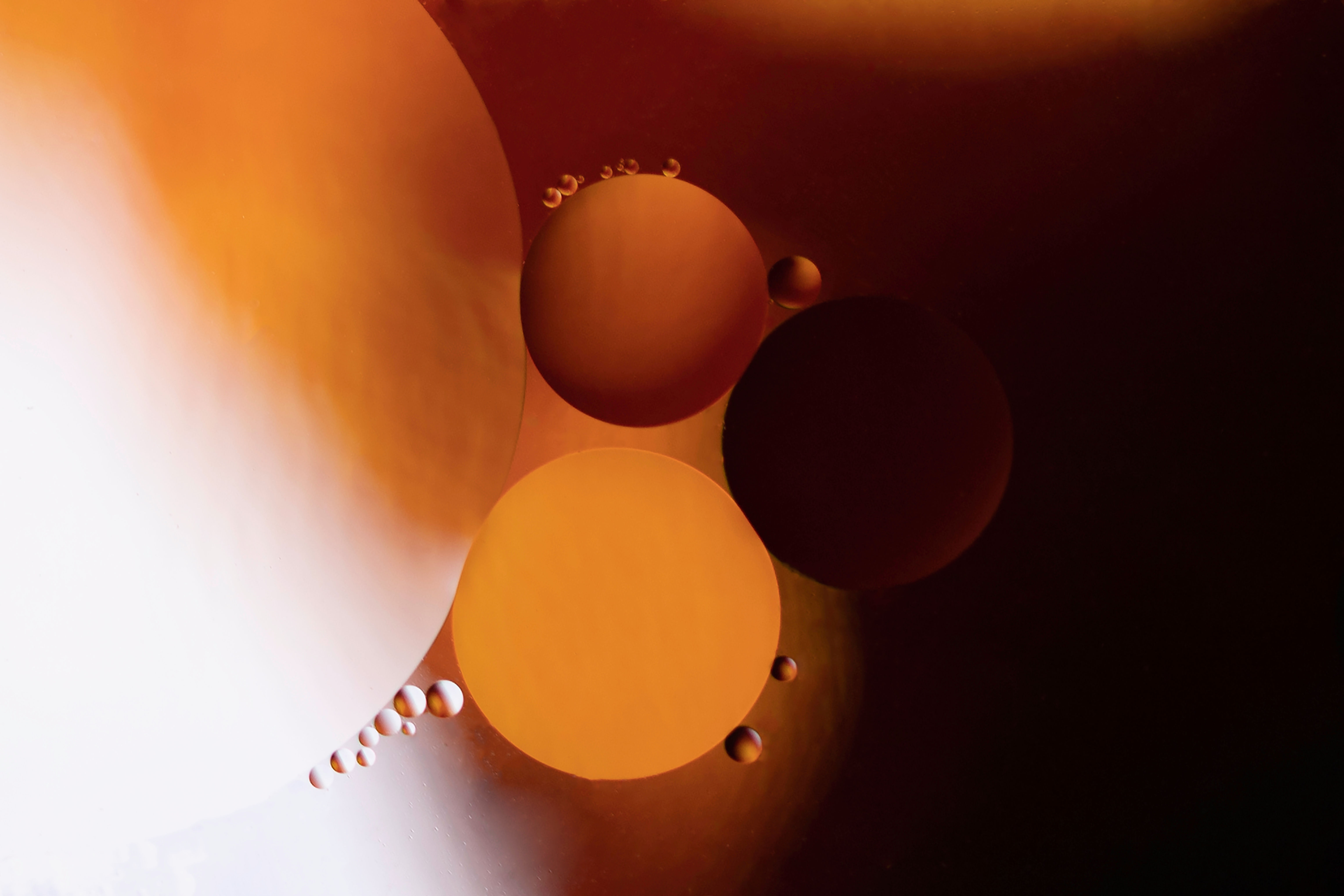 Intention Increase - Increase the Power of your Thoughts & Intentions