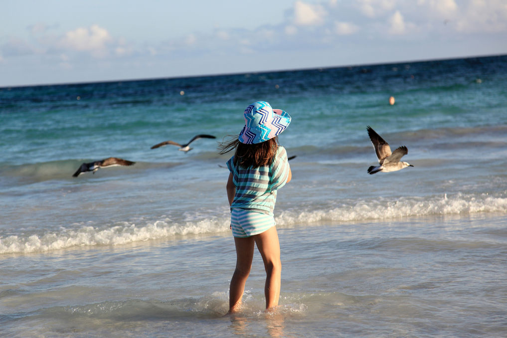 Girl at the coast with shorebird's