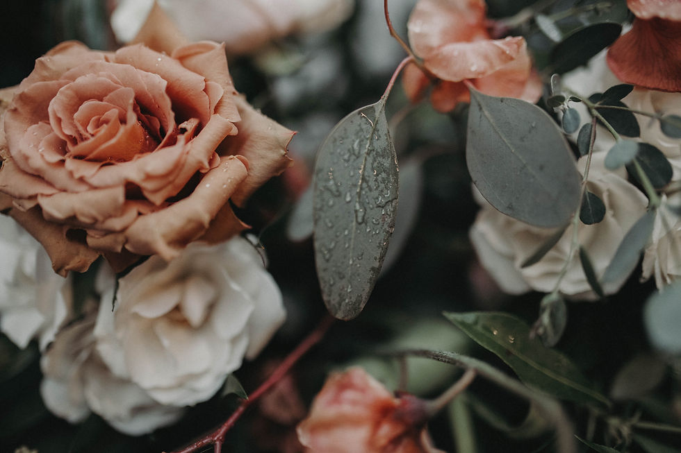 Image by Taylor Gray
