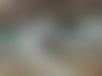 Daily Devotional for February 2