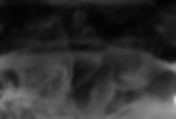 Image by Honey Yanibel Minaya Cruz