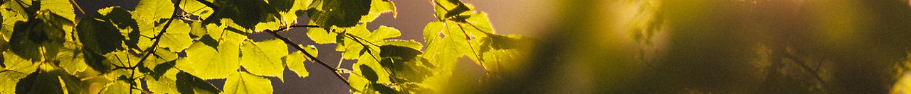Image by Florian Weichert