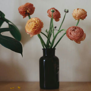 Notre Fleur du mois : la Renoncule