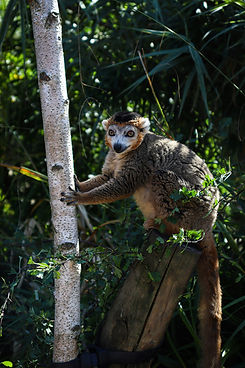 Image by Thomas Allsop