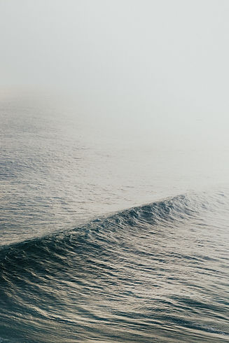 Image by Maksym Ivashchenko