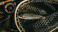 Hoot-Owl Fishing Restrictions Begin Saturday on Lower Beaverhead, Madison Rivers